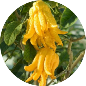 QQ%E6%88%AA%E5%9B%BE20240611172513 %E5%89%AF%E6%9C%AC