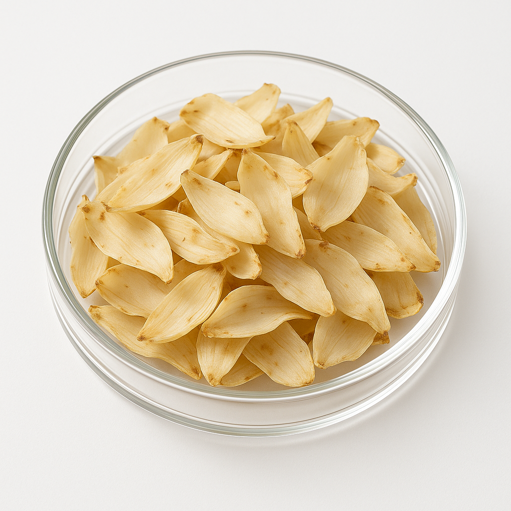 DR T&T Bai He / Bulbus Lilii / Lily Bulb Dry Herb 3 DR T&T Bai He / Bulbus Lilii / Lily Bulb Dry Herb - Image 3