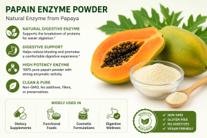 Papain Powder 100,000 u/g – High Strength Papaya Enzyme Powder