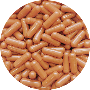 size 00 orange vegetarian capsule , tio2 free capsule