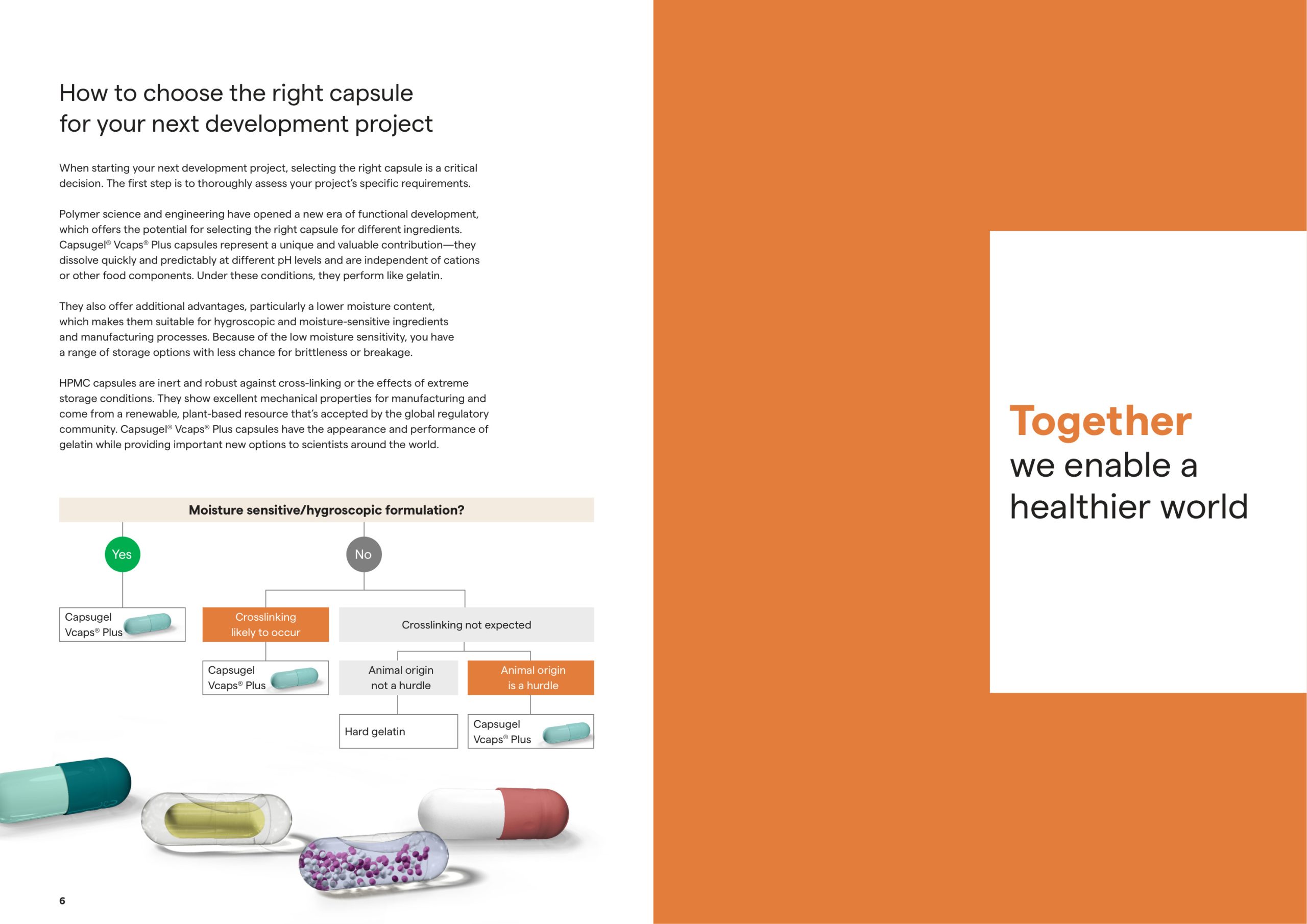 Lonza Vcaps Plus brochure page 4